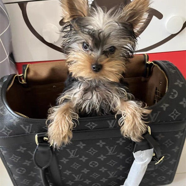 gucci ルイヴィトン ペット用品 犬お出かけ用ギャリーバッグ ブランド LV ペット用キャリーバッグ 手提げバッグ 通気性メッシュ付き 中・大型猫用・小型犬・うさぎ用 定番柄 変形しない 通気性 臭気がない ペットギャリー 革バッグ 5kg耐荷重