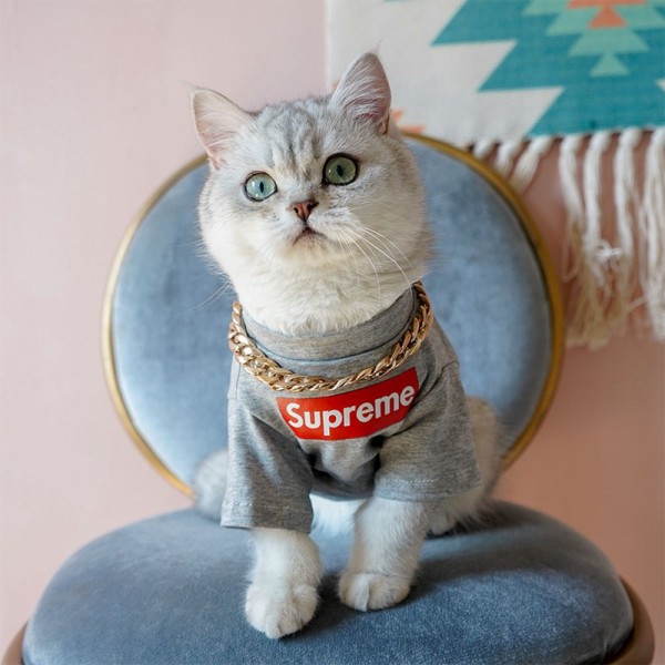 Supreme 犬猫服 Tシャツ 洋服 ブランド ドッグウェア ボックス シュプリーム ペット服ロゴtシャツ ホワイト/グレー/ブラック 韓国 通販 T-shirt 半袖 ストレート系 パロディ