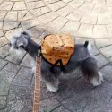 エムシーエム 犬のバッグ  ドッグ グッズ ファッション ブランド 鞄 かわいい 小中大型犬に向け MCM ミニバッグ ペット用品 オシャレ お散歩お出かけ