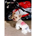 Balenciaga バレンシアガハイブランドペット服かわいいブランドペット用服激安ブランド犬服春夏ハイブランド犬の服かわいい