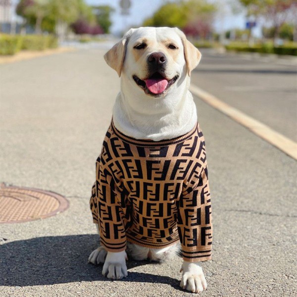 Dior ディオール Fendi フェンディ ドッグ猫パーカーペット洋服パロディブランド犬服ペットウェア お散歩 お出かけ 犬ウェアブランド 小型犬 パピーブランド犬用洋服パロディペット服秋冬暖かい