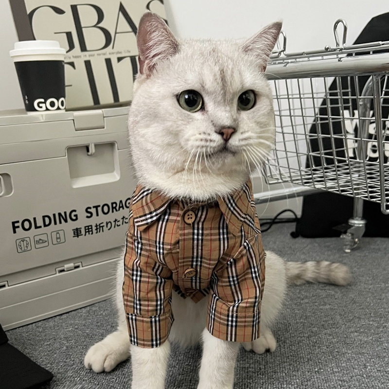 burberry 犬服 tシャツ