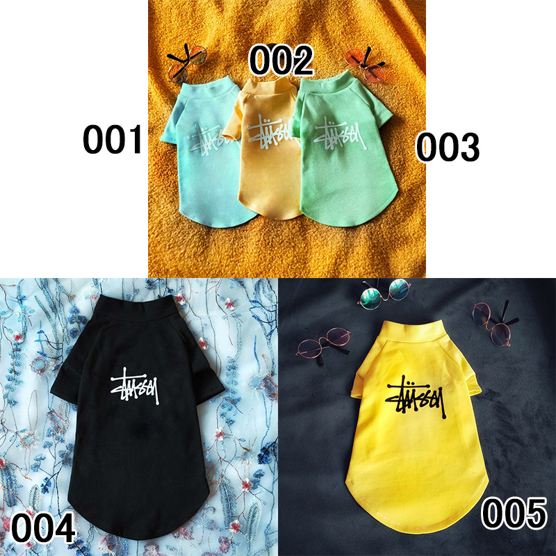 無毛猫 スフィンクス服 ステューシー ハイネック