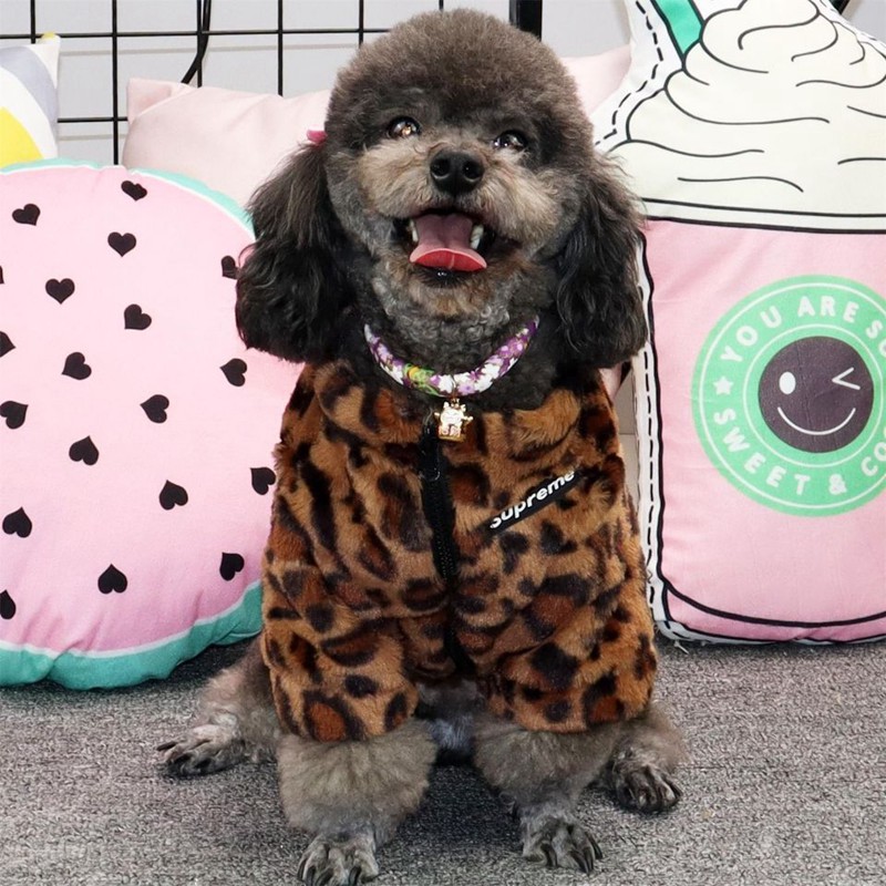 ブランドシュプリーム ヒョウコートコピー Supreme ペット服