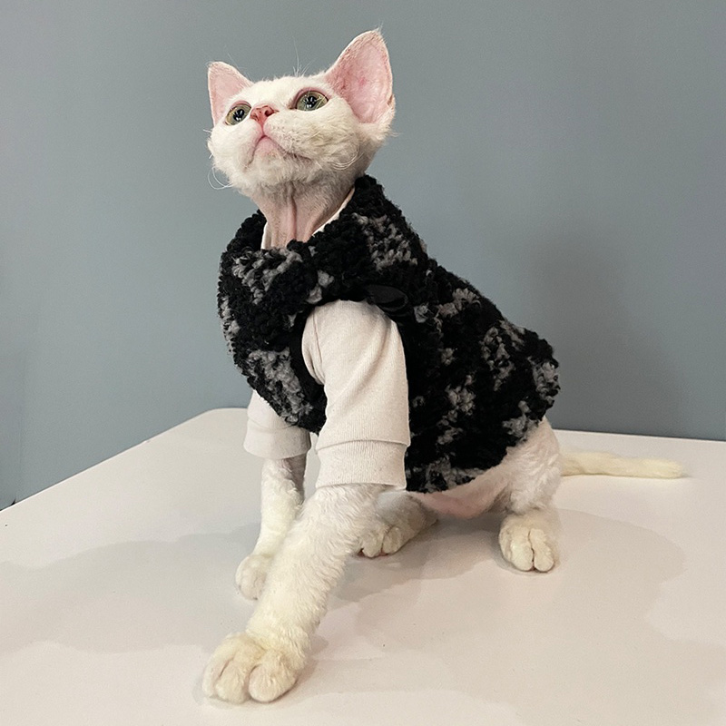 LOUIS VUITTON ブランド 猫 犬服
