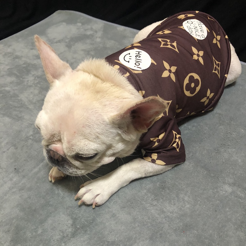 ブランドペット服 Tシャツ LOUIS VUITTON