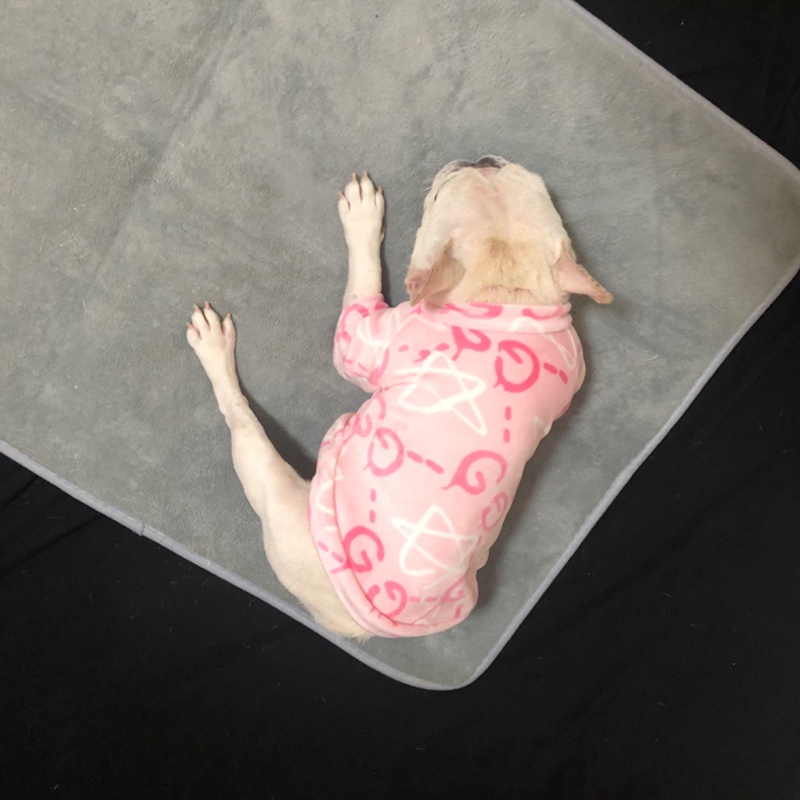ブランド大型犬ウェア 犬のパーカー