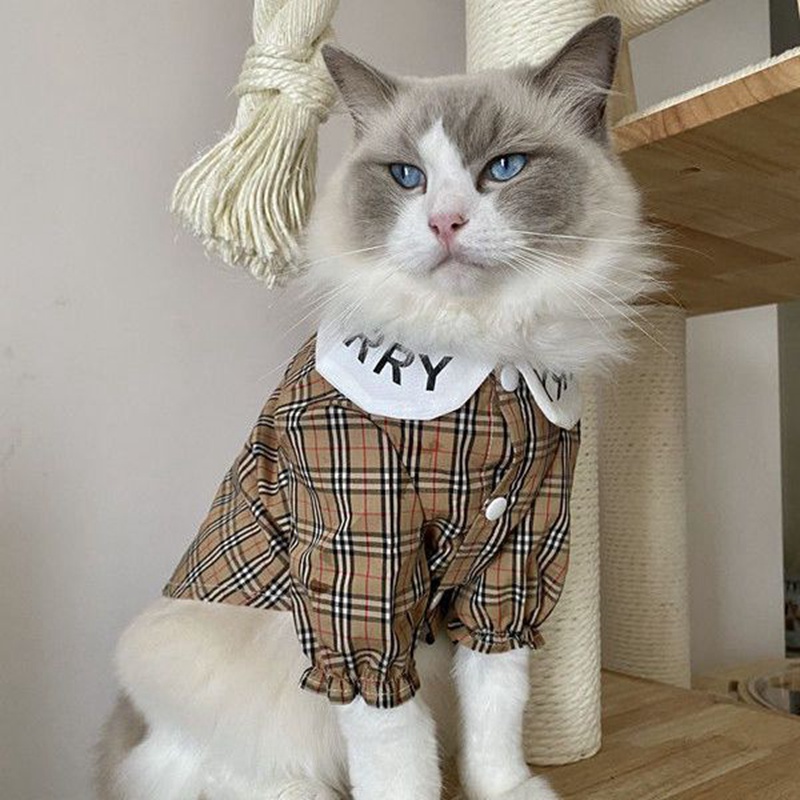 ハイブランド バーバリー ペット服